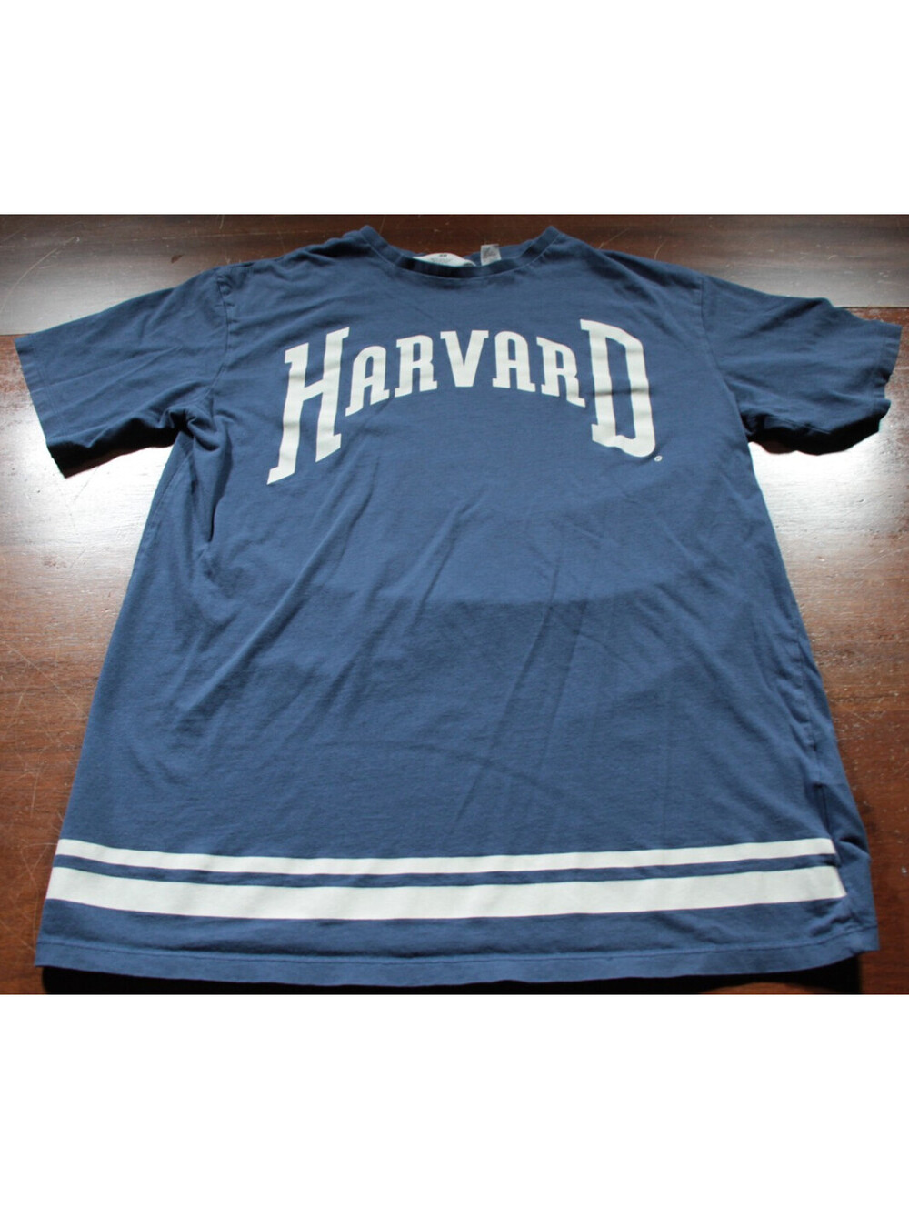 H&M Harvard University T-Shirt Size 20 Women's Shirt